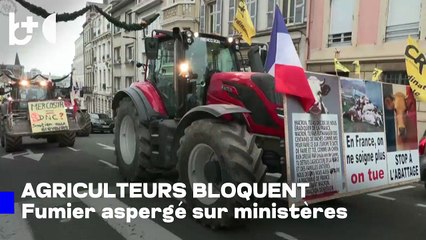 Bureaux aspergés de bouse de vache / Protestation d'agriculteurs français, routes bloquées