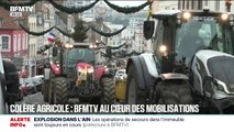 Dermatose nodulaire bovine: BFMTV au cœur des mobilisations des agriculteurs en colère