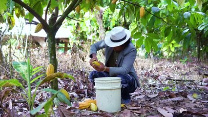 Estos millonarios hacian ellos mismo el trabajo para no pagarle a nadie y esto paso