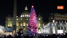 L'accensione dell'albero di Natale e l'inaugurazione del presepe a Piazza San Pietro