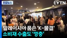 말레이시아 품은 'K-물결'...소비재 수출도 '껑충' / YTN
