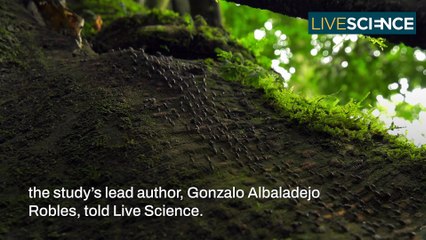 Which Animals Will Survive Climate Change