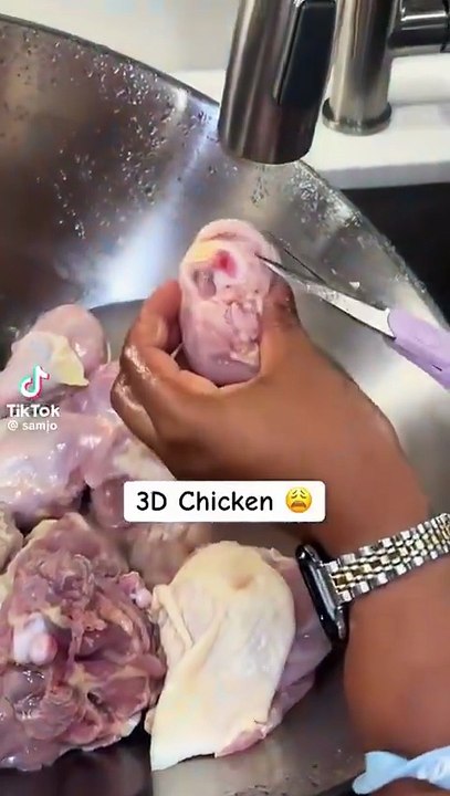 POLLO 3D
