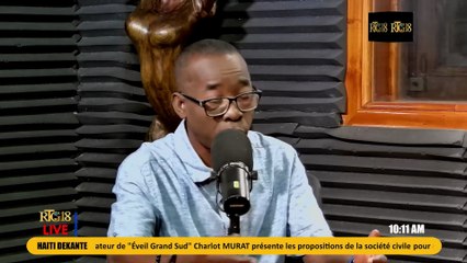 Plizyè òganizasyon nan sosyete sivil la pwopoze yon konsèy saj pou chwazi yon prezidan, aprè 7 Fev.