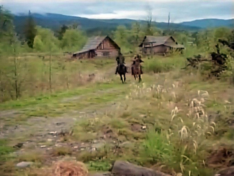 A Stranger in the Mirror (1993) MOVIE