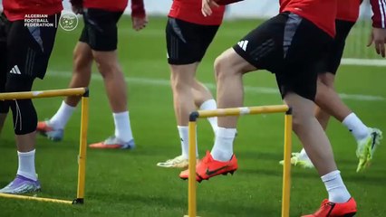 CAN 2025 : Premier entrainement de l'EN à Sidi Moussa