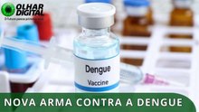 Dengue: vacina brasileira apresenta resultados promissores