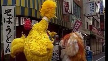 big bird in japan