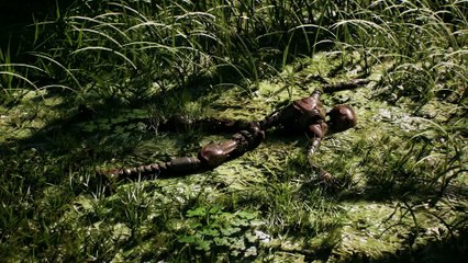 Beast of Reincarnation - Tráiler de lo NUEVO de los CREADORES de POKÉMON