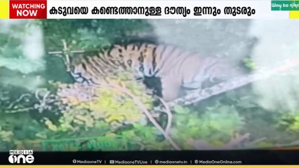 വയനാട് പച്ചിലക്കാട് ജനവാസ മേഖലയിൽ ഇറങ്ങി ഭീതി പരത്തിയ കടുവയെ കണ്ടെത്താനുള്ള ദൗത്യം ഇന്നും തുടരും