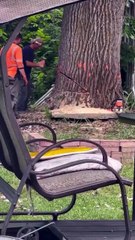 If he was aiming for the house that was a perfect cut