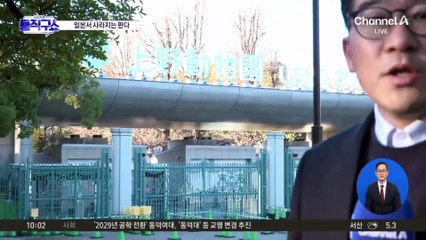 중·일 ‘판다 외교’도 끝?…54년 만에 ‘제로’