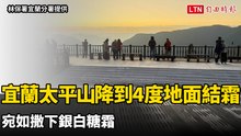宜蘭太平山降到4度地面結霜 宛如撒下銀白糖霜