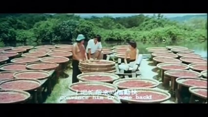 The Dragon, the Hero (1979) _ FULL VINTAGE MARTIAL ARTS MOVIE _ John Liu _ Yen-Tsan Tang _Phillip Ko