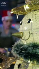 Return of the Phoenix shortmintz