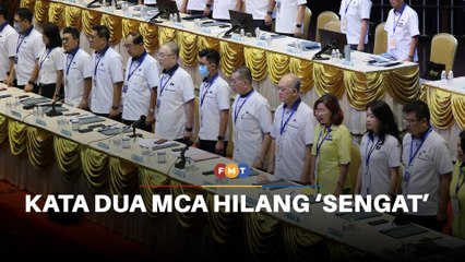 Kata dua MCA hilang ‘sengat’ bila sering diulang, kata pemimpin Pemuda Umno