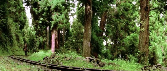 Fury in Storm (1974) _ FULL MARTIAL ARTS ADVENTURE MOVIE _ Yi Chang _ Patrick Kelly _ Lu Chin