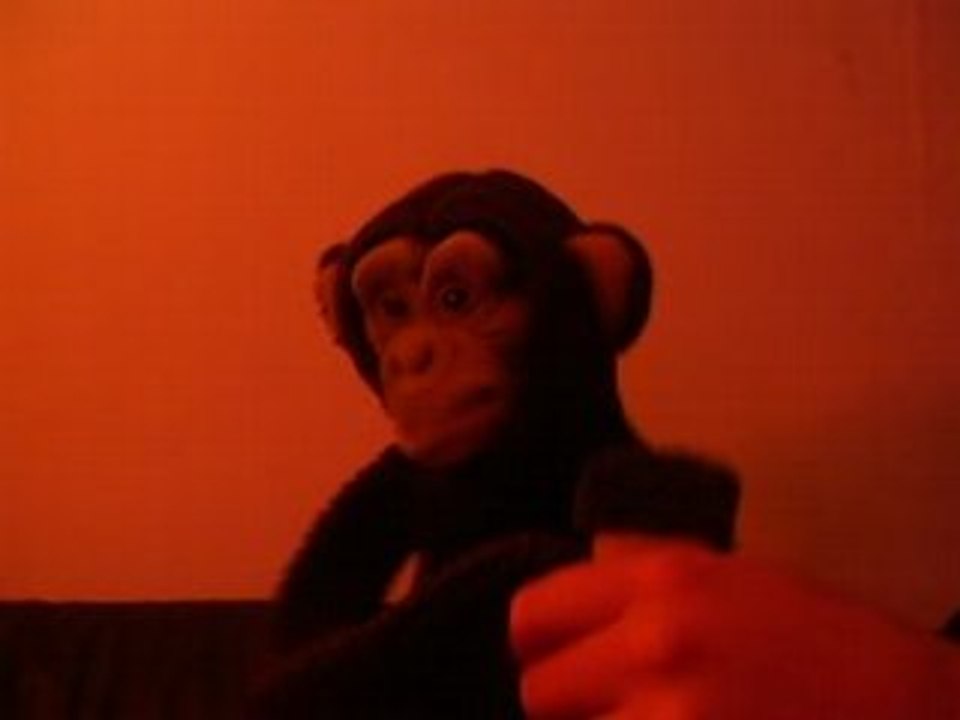 Interpretation Miossec - clip