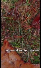 Cheated and Lied by My Enemies, Now it's Time to Reveal My Power and Reclaim Everything FULL Video