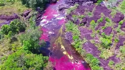 Lugares más extraños del mundo