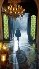 My family spoiled adopted daughter, ignored me. Reborn, I taught them a lesson—CEO drawn to me.