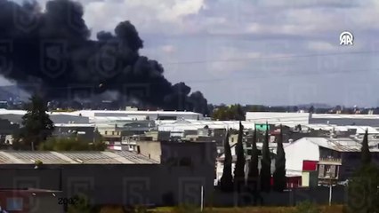 Meksika’da küçük uçağın düşmesi sonucu 7 kişi öldü