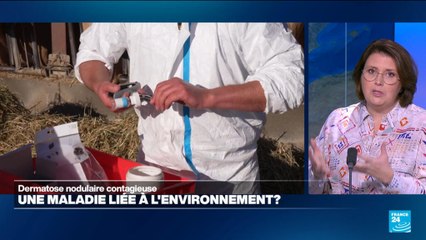 La dermatose nodulaire, une maladie liée à l'environnement?