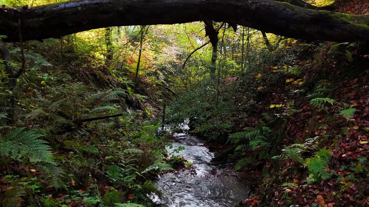 Fletchers Family Farm S03E00 Fletchers Country Workshop