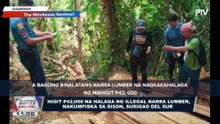 Higit P42K na halaga ng illegal narra lumber, nakumpiska sa Sison, Surigao del Sur