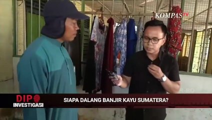 Gelondongan Kayu Kepung Pondok Pesantren, Siapa Pelaku Penebang Pohon? | DIPO INVESTIGASI
