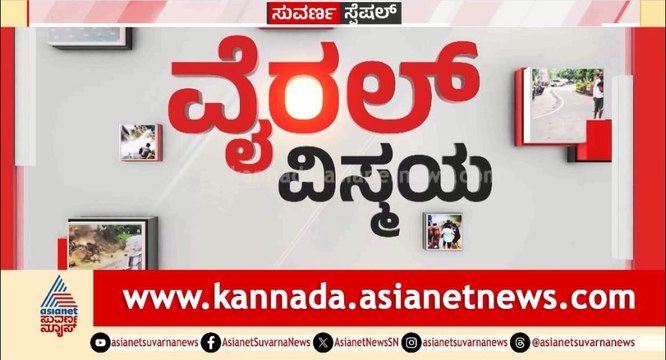 ವೈರಲ್ ವಿಸ್ಮಯ | Viral Vismaya