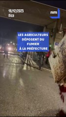 Nice : les agriculteurs déversent du fumier devant le CADAM
