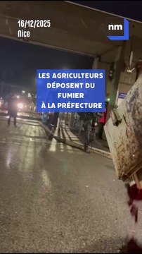 Nice : les agriculteurs déversent du fumier devant le CADAM