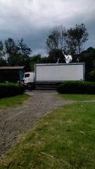 La ciudad y áreas verdes 😊🌲