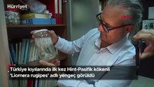 Türkiye kıyılarında ilk kez Hint-Pasifik kökenli ‘Liomera rugipes’ adlı yengeç görüldü