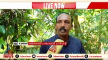 പഞ്ചായത്ത് ഓഫീസിന് മുന്നിലെ ലീഗ് പ്രവര്‍ത്തകരുടെ പ്രതീകാത്മക ശുദ്ധീകരണം വിവാദത്തില്‍
