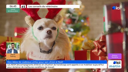 16/12/2025 - ici matin par ici Touraine