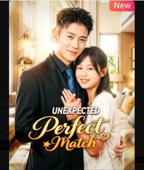 Unexpected Perfect Match - Full Movie