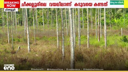 വയനാട്ടിൽ ഭീതി പരത്തിയ കടുവയെ കണ്ടെത്തി..