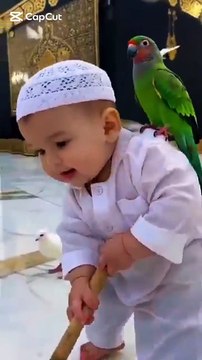 1. Parrot Reciting Quran – A Peaceful Moment 2. Cute Parrot Reads Quranic Verses 🕊️✨ 3. Spiritual Moment: Quran Recitation by a Parrot 4. Amazing Parrot Reciting Su