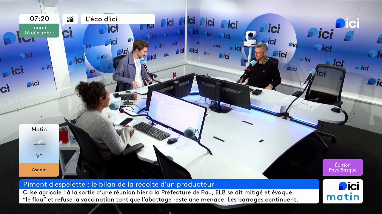 La récolte de piments d'Espelette se termine cette semaine, la maison Bipia perd 20% de sa récolte