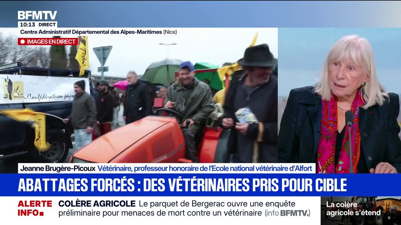 Crise agricole: "Pour la première fois on voit des éleveurs attaquer leurs vétérinaires", déplore Jeanne Brugère-Picoux, vétérinaire