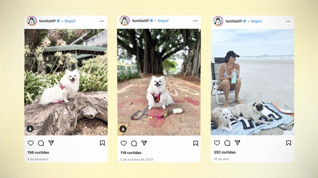 Parceiro Petz: Programa de Parcerias Cadastre-se petzsocial.store/signup