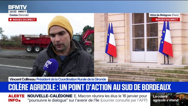 Le président de la Coordination Rurale de la Gironde estime que la ministre de l'Agriculture est en train de sacrifier les troupeaux et les éleveurs