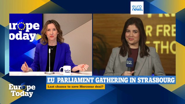 Farmers must not be sacrificed for the profit of a few industries, lawmaker says on Mercosur