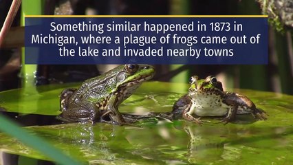 The 10 plagues of Moses analyzed by science