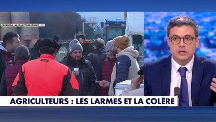 Maxime Thiebaut : «On est en train de passer d’une crise sanitaire agricole à une crise politique»