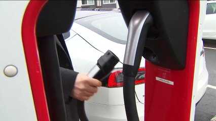 China cierra su investigación 'antidumping' contra el cerdo de la UE con aranceles del 19,8%