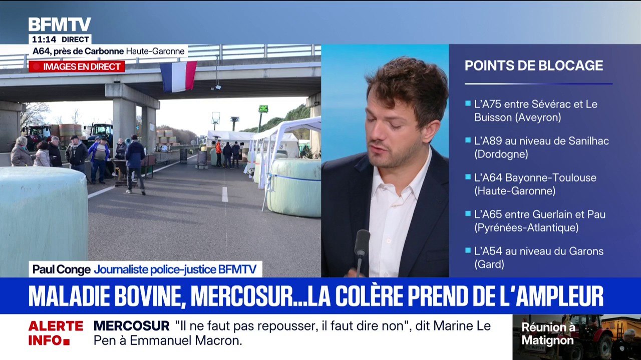 Blocages des agriculteurs: la Confédération Paysanne et la Coordination Rurale unies malgré des oppositions politiques