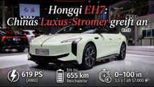 Elektro-Oberklasse aus China: Hongqi EH7 im Detail vorgestellt